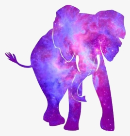 #elephant #margaret #tumblr #galaxy #animal #sweet - Purple Galaxy Elephant, HD Png Download, Free Download