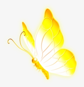 Flying Lighting Butterfly Png, Transparent Png, Free Download