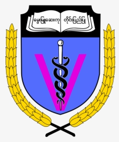 University Of Medicine, Magway, HD Png Download, Free Download