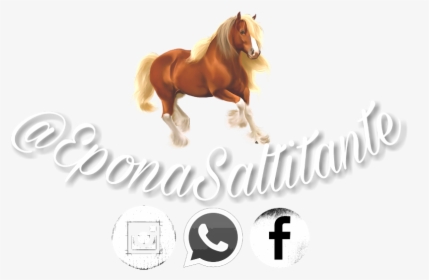 #eponasaltitante #claro - Whatsapp, HD Png Download, Free Download