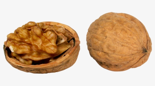 Walnut, HD Png Download, Free Download