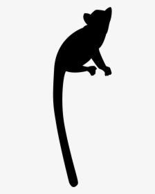 Silhouette Of A Lemur, HD Png Download, Free Download
