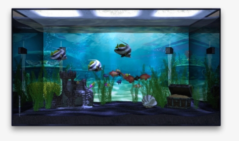 Aquarium En Apple Tv - Transparent Background Fish Tank Png, Png Download, Free Download