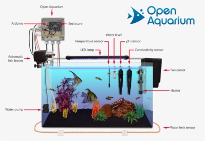 Open Aquarium, HD Png Download, Free Download