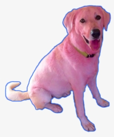 #dog #aesthetic #pink #blue #pinkdog #grunge #tumblr - Clifford The Big Red Dog Irl, HD Png Download, Free Download
