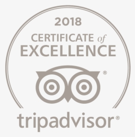 Tripadvisor Certificate Of Excellence Logo Png Grey, Transparent Png, Free Download