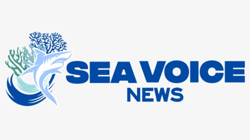 Sea Voice News - Graphic Design, HD Png Download, Free Download