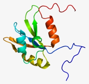 Protein Hnrpf Pdb 2db1 - Graphic Design, HD Png Download, Free Download
