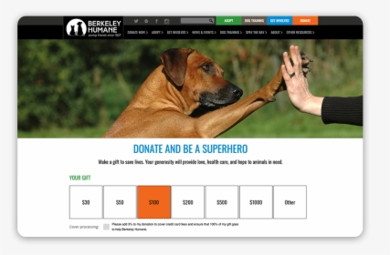 Adding An Engaging Banner Image Is A Great Giving Tuesday - Black Mouth Cur, HD Png Download, Free Download