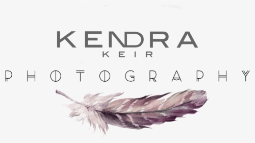Feather, HD Png Download, Free Download