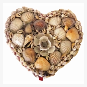 Shell Heart Png, Transparent Png, Free Download