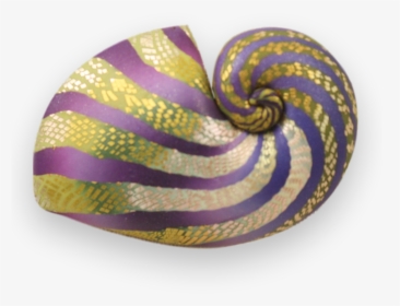 Shell Brooch"  Data-zoom="//cdn - Python, HD Png Download, Free Download