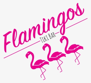 Flamingos Tiki Bar Logo - Greater Flamingo, HD Png Download, Free Download
