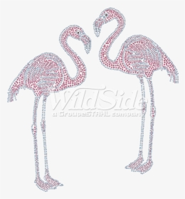Flamingo Png Hd - Greater Flamingo, Transparent Png - kindpng