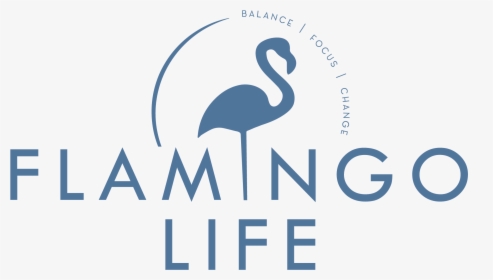 Flamingo Life - Graphic Design, HD Png Download, Free Download