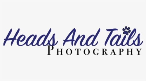 Heads And Tails Photography Watermark - Calligraphy, HD Png Download, Free Download