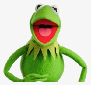 Kermit The Frog Laughing - Funniest Kermit The Frog, HD Png Download, Free Download