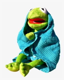 Frog - Kermit The Frog Spa, HD Png Download, Free Download