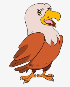 How To Draw Cartoon Hawk - Eagle Drawing Easy Cartoon, HD Png Download, Free Download