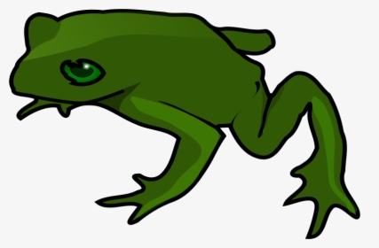 Collection Of Free Kermit Drawing Green Frog Download - Frog Clip Art, HD Png Download, Free Download