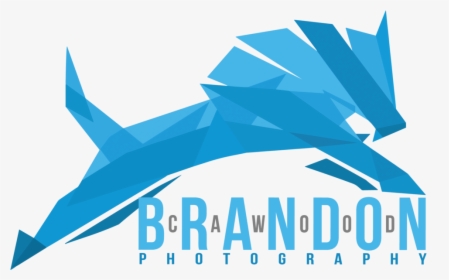 Brandon Cawood Photography Logo Full Color - Graphic Design, HD Png Download, Free Download