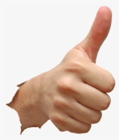 Picture - Thumbs Up Hand Png, Transparent Png, Free Download