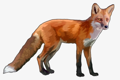 Fox Png - Red Fox No Background, Transparent Png, Free Download