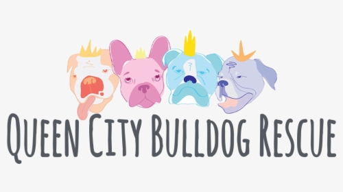 Queen City Bulldog Rescue - French Bulldog, HD Png Download, Free Download