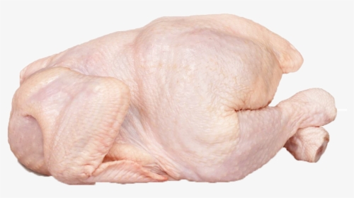 Raw Whole Chicken Png, Transparent Png, Free Download