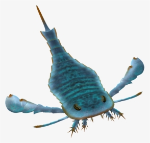 Eurypterus Paleoart - Eurypterid Transparent Background, HD Png Download, Free Download