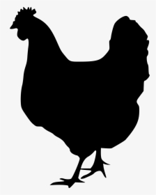 Chicken Rooster Silhouette Clip Art - Black And White Chicken Svg, HD Png Download, Free Download