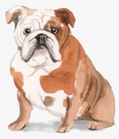 English Bulldog Owner Quote, HD Png Download, Free Download