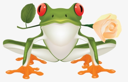 Frog,tree Frog,clip Art,true Frog,hyla,shrub Frog,toad,cartoon,gray - Clip Art Tree Frog, HD Png Download, Free Download