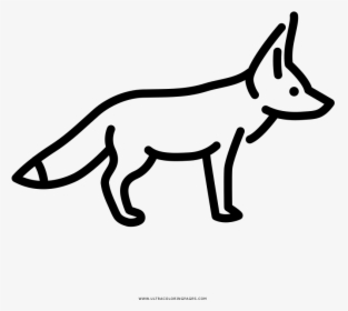 Fennec Fox Fall Coloring Page, Printable Fennec Fox - Easy How To Draw A Fennec Fox, HD Png Download, Free Download