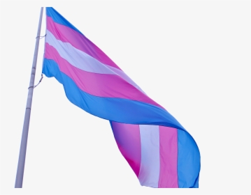 Npp National Progress Party Flag 10 - Trans Flag Flying, HD Png Download, Free Download
