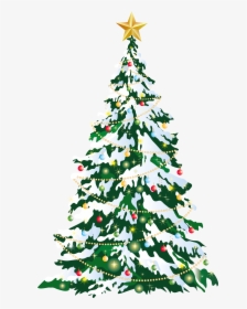 Large Christmas Tree Clipart, HD Png Download, Free Download