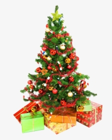 Christmas Tree Presents Underneath Png Image - White Background Christmas Tree, Transparent Png, Free Download