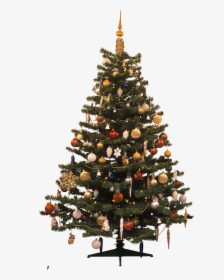 Christmas Tree Png, Transparent Png, Free Download
