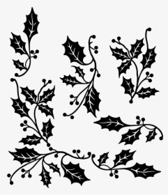 Holly Leaf Vector - Holly Branch Clip Art Black And White, HD Png Download, Free Download