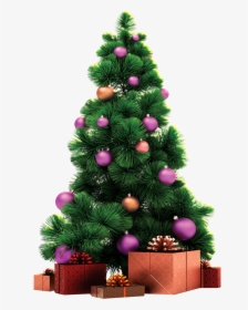 Christmas Tree New Year Tree, HD Png Download, Free Download