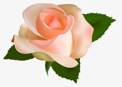 Beautiful Rose Png Clipart - Pink Rose Transparent Background Hd, Png Download, Free Download