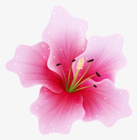 Hawaiian-hibiscus - Pink Png Flower, Transparent Png, Free Download