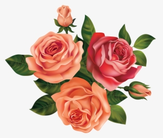 Drawing Rose Beautiful Flower - Beautiful Flower Rose Drawing, HD Png Download, Free Download