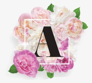 Amore Dolce Flowers - Flowers, HD Png Download, Free Download