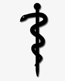Cancer Of Symbol Rod Medicine Asclepius Clipart - Aesculap Logo, HD Png Download, Free Download