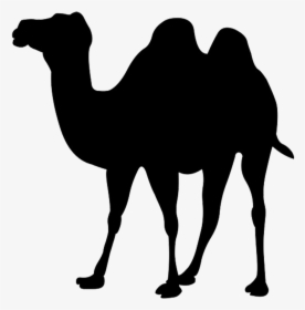 Mark Zuckerberg Png Clipart - Camel Silhouette Png, Transparent Png, Free Download