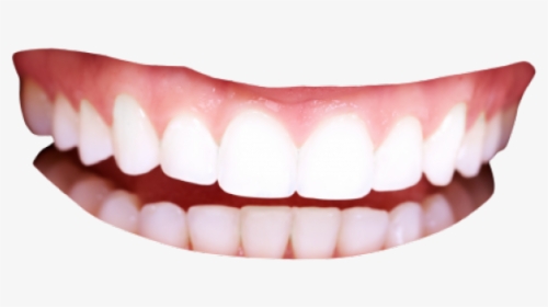 Teeth Mark Png - Transparent Teeth Png, Png Download, Free Download
