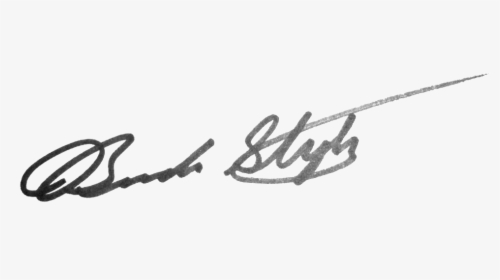 Signature For The Name Brandon, HD Png Download, Free Download