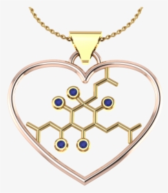 Heart Necklace Png, Transparent Png, Free Download