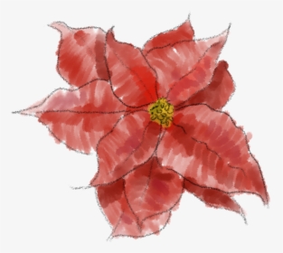Poinsettia Png Image - Poinsettia Pink Png, Transparent Png, Free Download